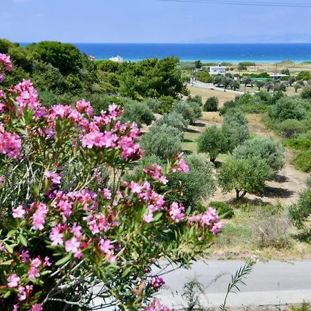Hotel Summer View Theológos