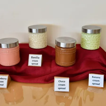 Summer View Theológos