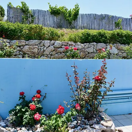 Summer View