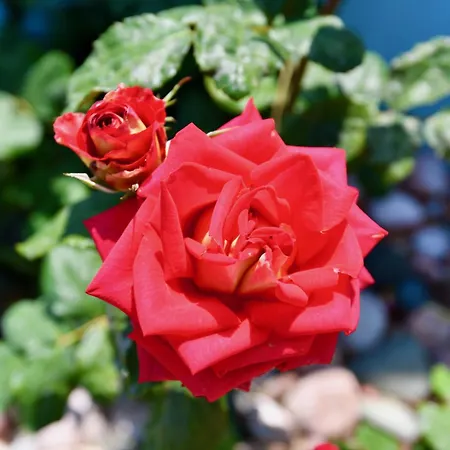 Summer View 호텔 Theológos