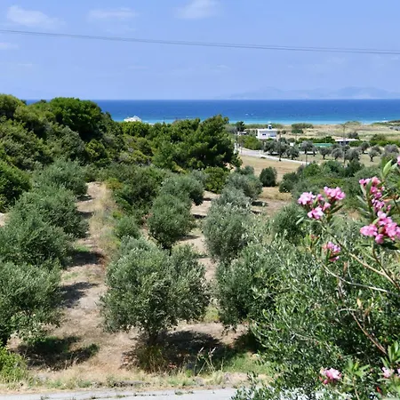 Summer View 호텔 2*