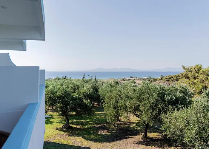 Summer View Theológosz