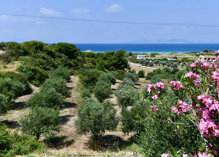 Summer View 2* Theológosz