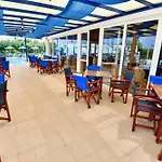 Summer View