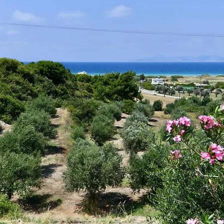 Summer View 2* Theologos (Rhodes)