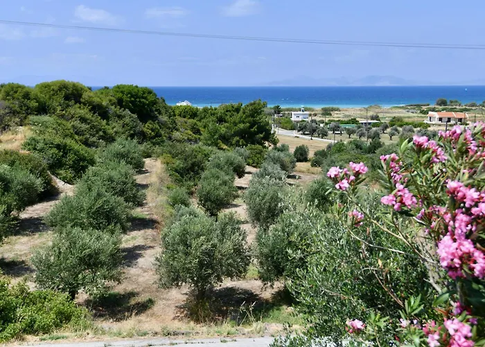 Summer View Hotel 2*